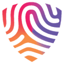 BigID logo